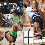 1" Nylon Webbing Straps and Buckles Set