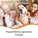 BuddyID® QR Collar Tag for Pet ID Recovery