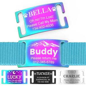 Personalized Stainless Steel Dog and Cat ID Tags