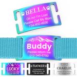 Personalized Stainless Steel Dog and Cat ID Tags