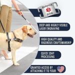 Stylish K9 Stainless Steel Pet ID Tag