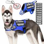Service Dog Vest Harness with ID Tag and Patches