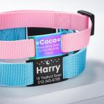 Personalized Stainless Steel Dog and Cat ID Tags