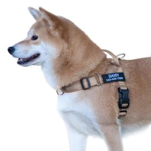 Custom No Pull Dog Harness with Name & Phone