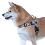 Custom No Pull Dog Harness with Name & Phone