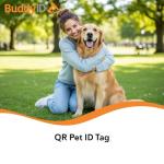 BuddyID® QR Collar Tag for Pet ID Recovery