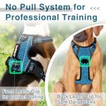 BARKBAY No Pull Dog Harness with ID Pocket