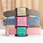 Brayhoo Personalized Silent Dog Tag for Collars