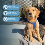 Voyager Step-in Air Harness for Dogs & Cats