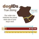 Personalized Waterproof Dog Collar with Engraved Name