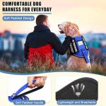 Service Dog Vest Harness with ID Tag and Patches