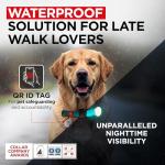 WAUDOG Adjustable Waterproof Dog Collar with QR Tag