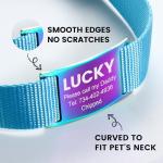 Personalized Stainless Steel Dog and Cat ID Tags