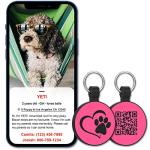 Silent Silicone QR Code Pet ID Tag - Personalized