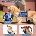 Service Dog Vest Harness with ID Tag and Patches