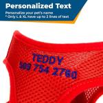 GoTags Personalized No Pull Mesh Pet Harness