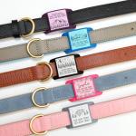 Brayhoo Personalized Silent Dog Tag for Collars