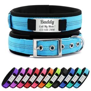 Personalized Reflective Dog Collar with Name