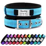 Personalized Reflective Dog Collar with Name