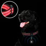 Reflective Dog Collar with Airtag Holder, Red
