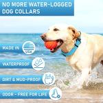 NexaPaw Waterproof Biothane Dog Collar with QR Tag