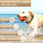 NexaPaw Waterproof Biothane Dog Collar with ID Tag