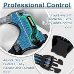 BARKBAY No Pull Dog Harness with ID Pocket