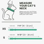 BronzeDog Leather Cat Collar with QR Tag