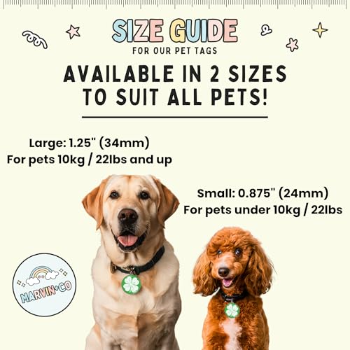 Custom Seizure Alert Dog Tag - Double-Sided ID