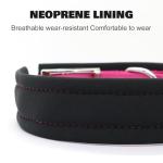 Reflective Personalized Dog Collar with Matching Leash
