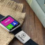 Silver Epilepsy Medical Alert Tag for Watch Band