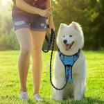 BARKBAY No Pull Dog Harness with ID Pocket