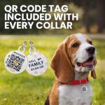 BronzeDog Adjustable Leather Dog Collar with QR Tag
