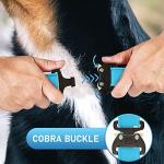 NexaPaw Waterproof Biothane Dog Collar with QR Tag