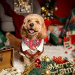 Christmas Dog Collar and Leash Set with Bow Tie