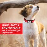 Reflective Personalized Dog Collar with Matching Leash