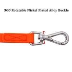 Heavy Duty Waterproof Dog Training Leash 30FT