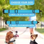 NexaPaw Waterproof Biothane Dog Collar with QR Tag