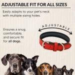 Personalized Engraved Vegan Leather Dog Collar