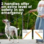 Reflective Slip Lead Leash with Double Handles