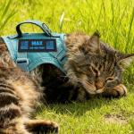 Blue Tactical Cat Harness and Leash Set