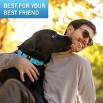 NexaPaw Waterproof Biothane Dog Collar with QR Tag