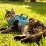 Blue Tactical Cat Harness and Leash Set