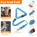 LOBEVE No Pull Dog Harness, Collar & Leash Set