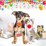 20Pcs Colorful Dog Flower Collar Accessories