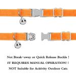 Adjustable Personalized Cat Collar with Name Plate