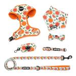 Cute Floral Mesh Harness and Leash Set for Dogs