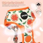 Cute Floral Mesh Harness and Leash Set for Dogs