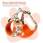 Cute Floral Mesh Harness and Leash Set for Dogs