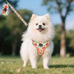Cute Floral Mesh Harness and Leash Set for Dogs